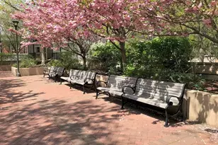 9 Hawthorne Pl, Boston, MA 02114 - Photo 20