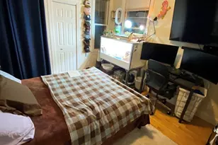 34 Juniper St, Boston, MA 02119 - Photo 18