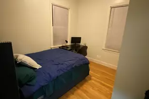 34 Juniper St, Boston, MA 02119 - Photo 20