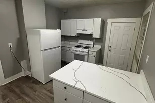 46 Lambert Ave, Boston, MA 02119 - Photo 4