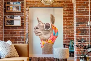9 W Broadway, Boston, MA 02127 - Photo 14