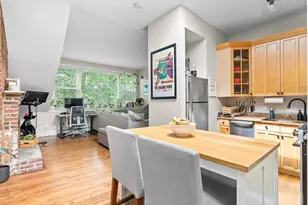46 E Springfield, Boston, MA 02118 - Photo 16