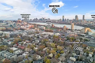 315 Pearl St, Cambridge, MA 02139 - Photo 28