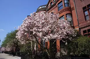 183 Commonwealth Ave, Boston, MA 02116 - Photo 36