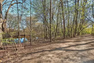 29 Thaxter Rd, Newton, MA 02460 - Photo 38