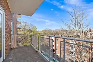 216 St Paul, Brookline, MA 02446 - Photo 6