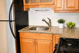 106 E Brookline St, Boston, MA 02118 - Photo 4