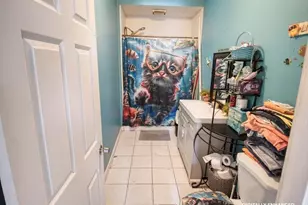 85 Harlem St, Worcester, MA 01610 - Photo 8