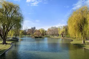 263 Commonwealth Ave, Boston, MA 02116 - Photo 24