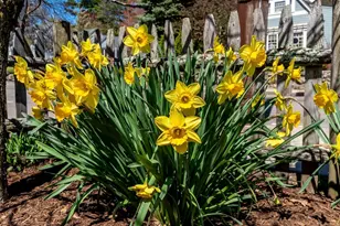 180 Walnut St, Dedham, MA 02026 - Photo 40