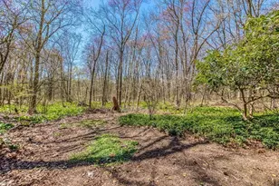 10 Country Club Dr, Walpole, MA 02081 - Photo 36