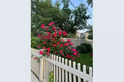 49 Princeton St #1, Somerville, MA 02144 - Photo 32