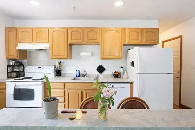 121 Centre Street #4, Boston, MA 02119 - Photo 1