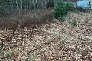 128 Holland Rd, Brimfield, MA 01010 - Photo 4