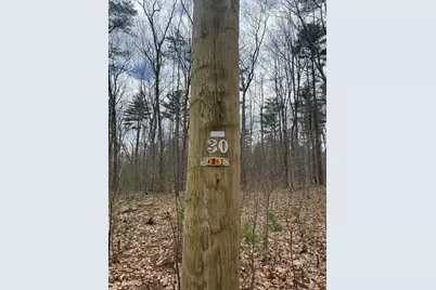 Lot 4 Murphy and Williamsville Roads, Barre, MA 01005 - Photo 4