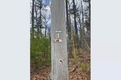 Lot 4 Murphy and Williamsville Roads, Barre, MA 01005 - Photo 12