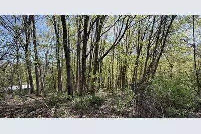 Lots 2A-3A Reservoir Road, North Adams, MA 01247 - Photo 1