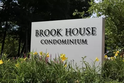 44 Washington St #313, Brookline, MA 02445 - Photo 2