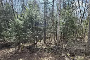 360 Jacobs Ladder Rd, Becket, MA 01223 - Photo 1