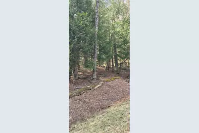 360 Jacob's Ladder Rd., Becket, MA 01223 - Photo 6