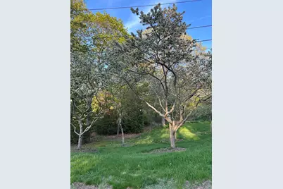 2 Orchard Lane, Manchester by the Sea, MA 01944 - Photo 16