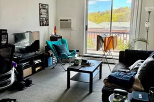 142 Kenrick St, Boston, MA 02135 - Photo 1