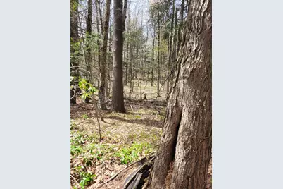 Lot 3 Town Hill Rd, Sandisfield, MA 01255 - Photo 8