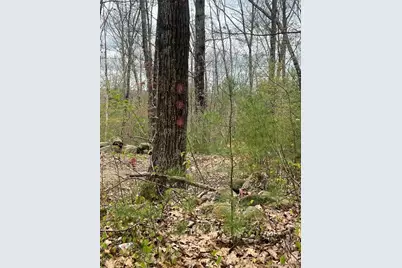 0 Miner Rd, Hardwick, MA 01037 - Photo 2