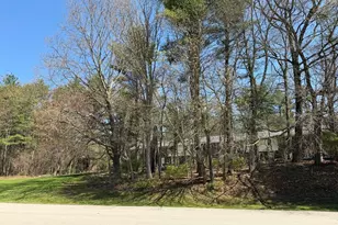 79 Oakridge Dr, Londonderry, NH 03053 - Photo 22