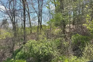 222 N East St, Amherst, MA 01002 - Photo 8