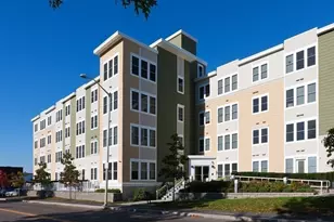 87 New, Cambridge, MA 02138 - Photo 6