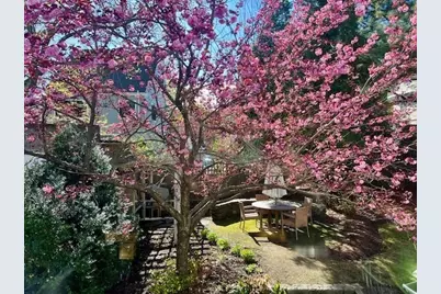 121 Thorndike Street, Brookline, MA 02446 - Photo 2