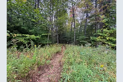 60 Stone Hill Road, Rowe, MA 01367 - Photo 16