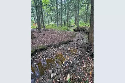 60 Stone Hill Road, Rowe, MA 01367 - Photo 18