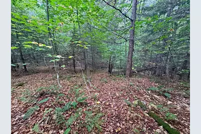 60 Stone Hill Road, Rowe, MA 01367 - Photo 24