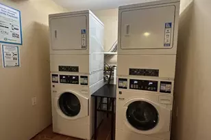 435 Walnut Ave, Boston, MA 02119 - Photo 12