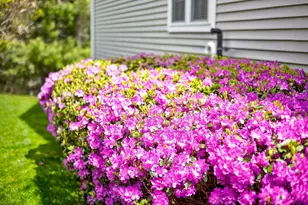 51 Champlain Cir, Plymouth, MA 02360 - Photo 40
