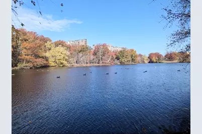 8 Juniper St #30, Brookline, MA 02445 - Photo 22