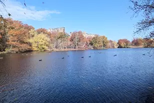 8 Juniper St, Brookline, MA 02445 - Photo 22