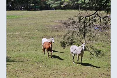 135 Walker Pond Rd, Sturbridge, MA 01566 - Photo 14