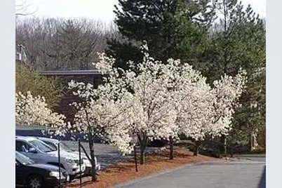 67 Milliken #13, Franklin, MA 02038 - Photo 8