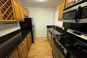33 Pond Ave, Brookline, MA 02445 - Photo 4