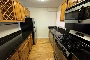 33 Pond Ave, Brookline, MA 02445 - Photo 4