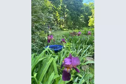 288 Bacon St, Natick, MA 01760 - Photo 32