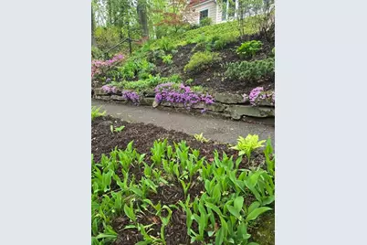 8 Montvale, Worcester, MA 01609 - Photo 4