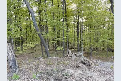 0 North Main St, Petersham, MA 01366 - Photo 2