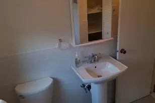 169 Lake Shore, Boston, MA 02135 - Photo 8