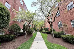 57 Colborne Rd, Boston, MA 02135 - Photo 12