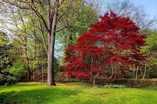 20 Rambler Rd, Boston, MA 02130 - Photo 28