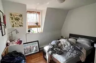 39 E Springfield, Boston, MA 02118 - Photo 8